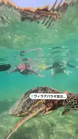 ヴィラアパラギ宮古島のTikTok投稿
