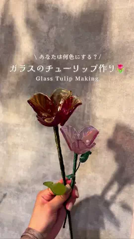 もここのお出かけのTikTok投稿