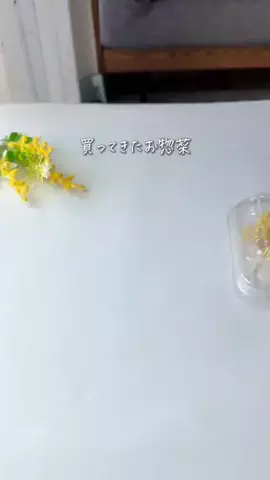 ゆるり⌇ママの暮らしがラクになる時短術のTikTok投稿