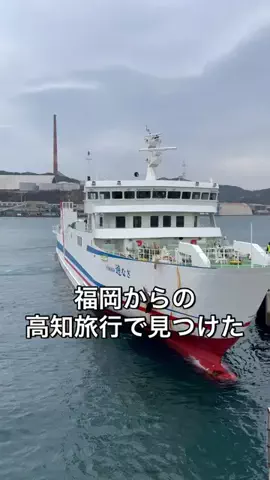 つんくちーやん【福岡コスパ飯・ホテル紹介】のTikTok投稿