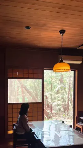 もここのお出かけのTikTok投稿
