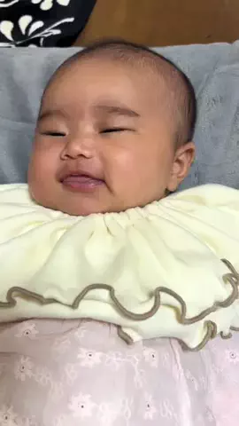 小籠包ちゃんのTikTok投稿