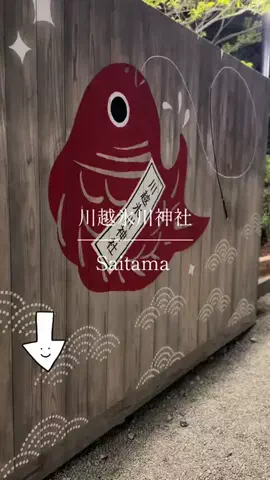 とん（旅動画）のTikTok投稿