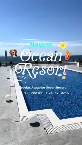 ちーのおでかけのTikTok投稿