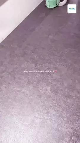 chan._x7のTikTok投稿
