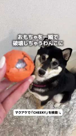 FLAFFYのTikTok投稿
