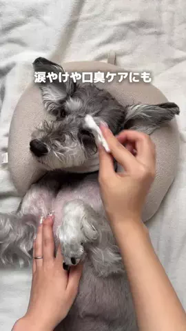 FLAFFYのTikTok投稿