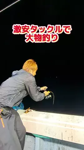 広島たにさんのぼれやびゃー動画のTikTok投稿