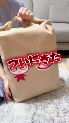 めぐちゃんねるのTikTok投稿
