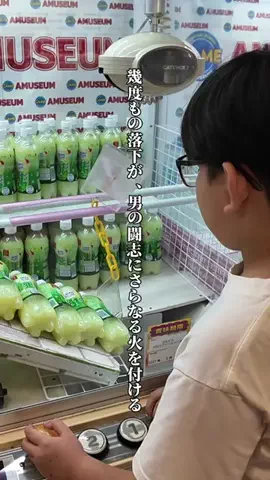 太陽チャンネルのTikTok投稿