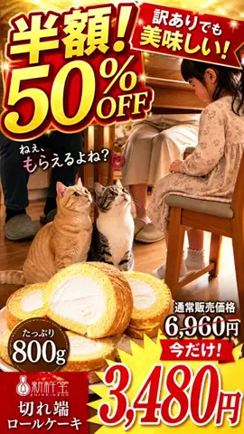ねこまんま₍^..^₎のTikTok投稿