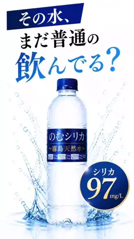 ねこまんま₍^..^₎のTikTok投稿