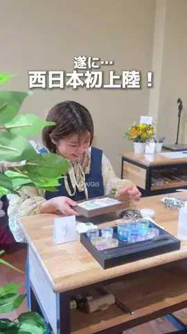 あいこパンダ🐼大阪発グルメおでかけのTikTok投稿