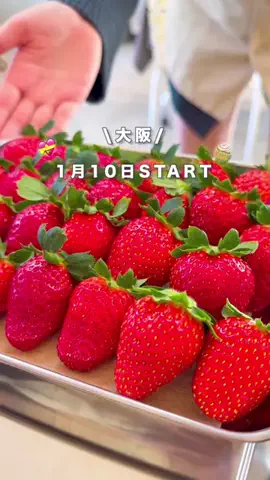 はぴまま☺︎大阪発⌇親子でちょっと特別なお出かけ・旅のTikTok投稿