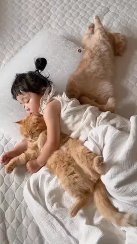 ひなまる色のTikTok投稿