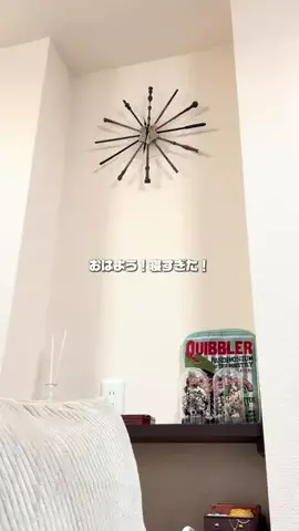 ことののTikTok投稿
