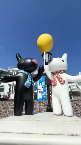 シロクマさんのTikTok投稿