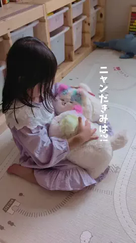 HachimugislifeのTikTok投稿