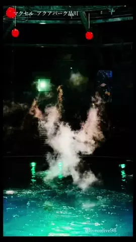 ＊hitohira＊のTikTok投稿