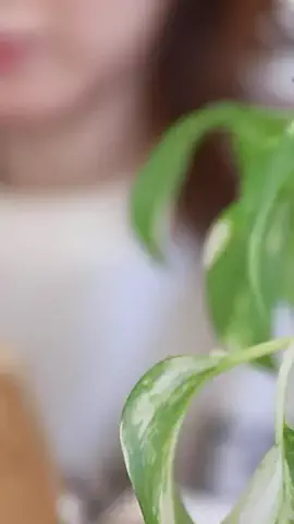 まなの暮らしメモのTikTok投稿