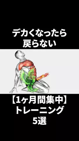 レイヴン/垢抜け男塾のTikTok投稿