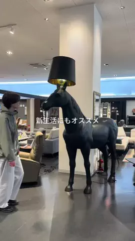 はる| ド田舎で叶える都会的な暮らしのTikTok投稿