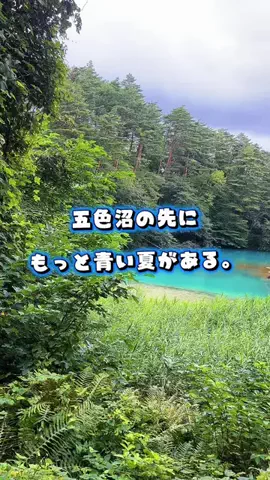 茨城と栃木の県境に住んでいますのTikTok投稿