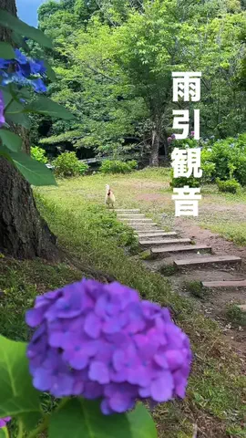 茨城と栃木の県境に住んでいますのTikTok投稿