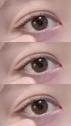 🐻のTikTok投稿