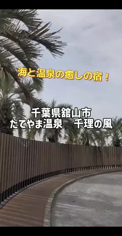 のぶ(スーパー旅行系クリエイター)のTikTok投稿