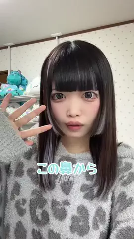 のいにゃんこのTikTok PR投稿：ぺったんこの鼻に立体感が⸝⸝o̴̶̷̥᷅ ̫ o̴̶̷̥᷅⸝⸝ …
