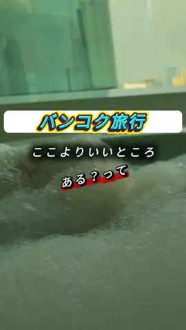 TOKUTOKUのTikTok投稿