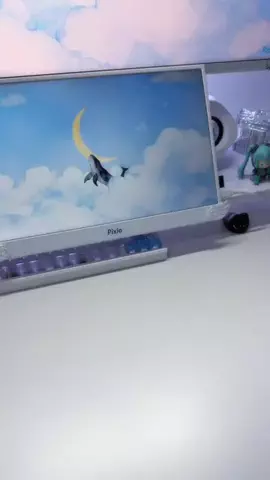 SのTikTok投稿