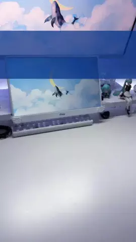 SのTikTok投稿