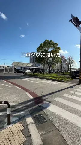 三重グルメ／MIE SELECTのTikTok投稿