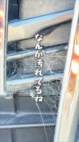 さえ&だいちゃんfamily✨東海おでかけ🚗💨のTikTok投稿
