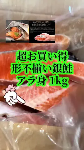 ちーちゃん🎀2匹のわんことハッピー人生のTikTok投稿