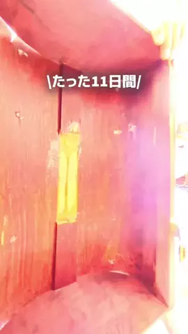 さえ&だいちゃんfamily✨東海おでかけ🚗💨のTikTok投稿