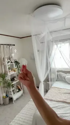 きゅーちゃんのTikTok投稿