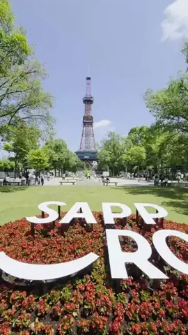 のぶ(スーパー旅行系クリエイター)のTikTok投稿
