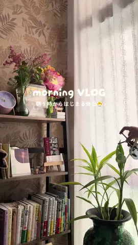 でぐのTikTok投稿