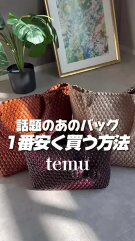 ハニルのTikTok投稿
