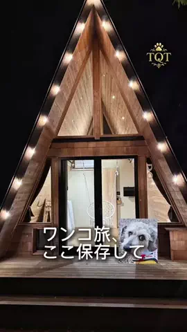 東京クイーン [tokyoqueen]のTikTok投稿