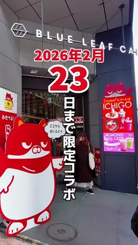 【仙台/宮城県】なんこちゃんのTikTok投稿