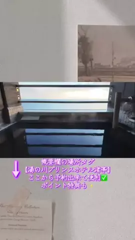 Hi_Na_NoのTikTok投稿