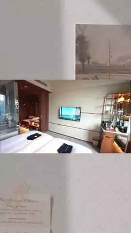 Hi_Na_NoのTikTok投稿