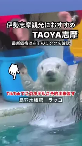 WINGのTikTok投稿
