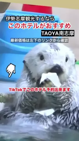 WINGのTikTok投稿
