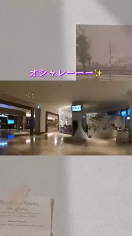 Hi_Na_NoのTikTok投稿