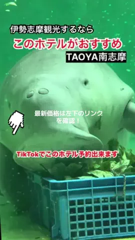 WINGのTikTok投稿
